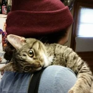 Meet your Posher, Catie